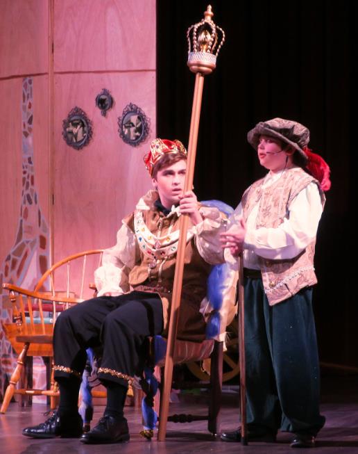 Cinderella for schools