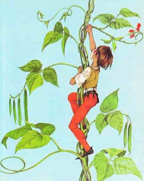 Country songs for kids!