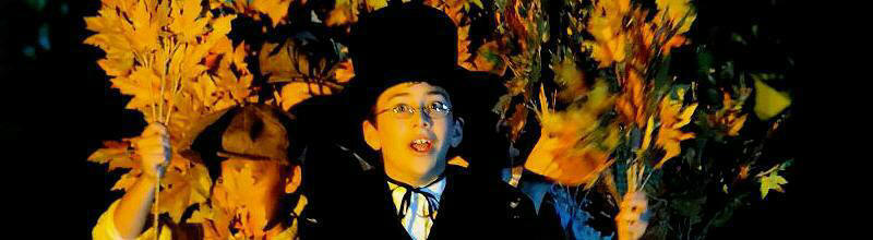 Halloween plays and scripts for kids