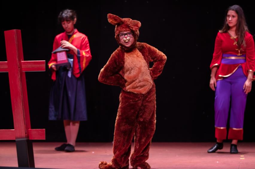 Comic rabbit steals the show