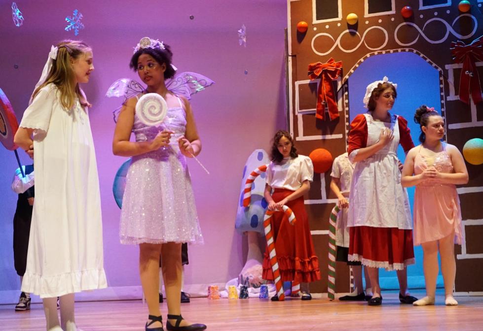 The Sugar Plum Fairy in Nutcracker Prince