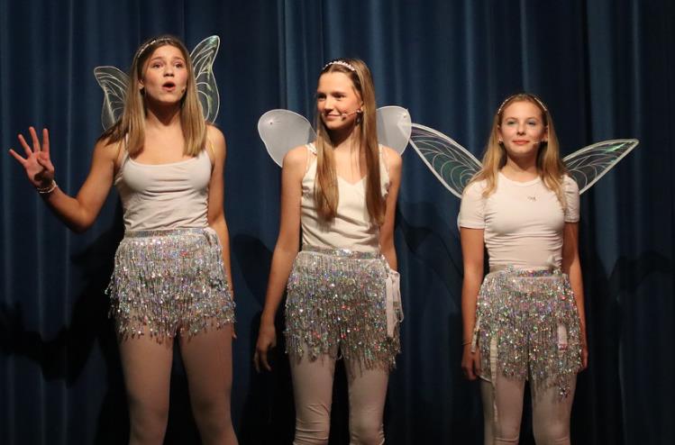 Storytellers in Peter Pan