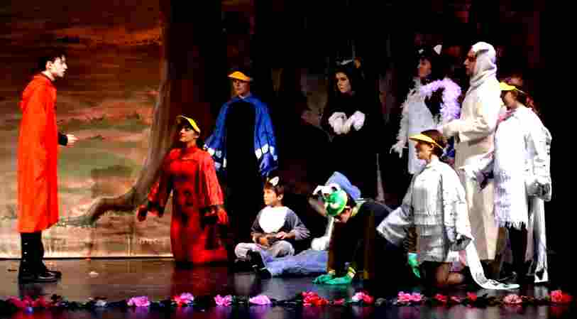 Sleeping Beauty Musical
