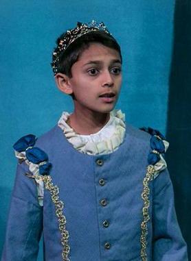 Sleeping beauty Prince