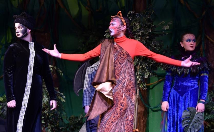 ArtReach The Jungle Book play