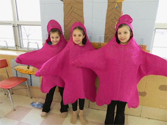 Great Play for Young Kids to Perform! The Little Mermaid!