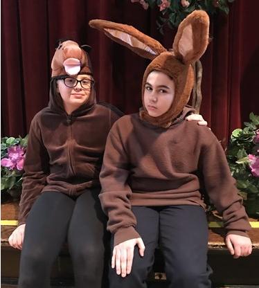 Christmas Musical Velveteen Rabbit