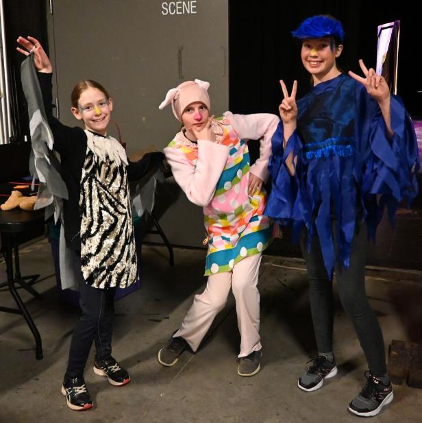 Owl, Piglet and Rabbit in Winnie the Pooh play