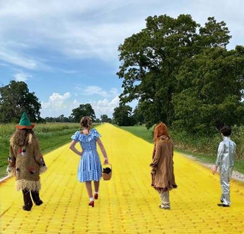 On the yellow brick road - School Performance