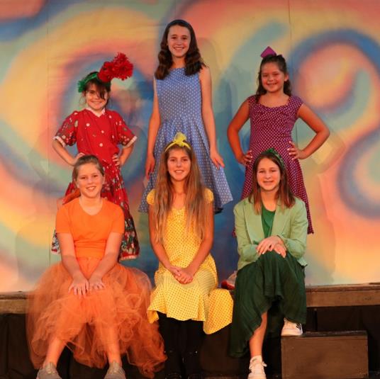 Large Cast Play Wizard of Oz
